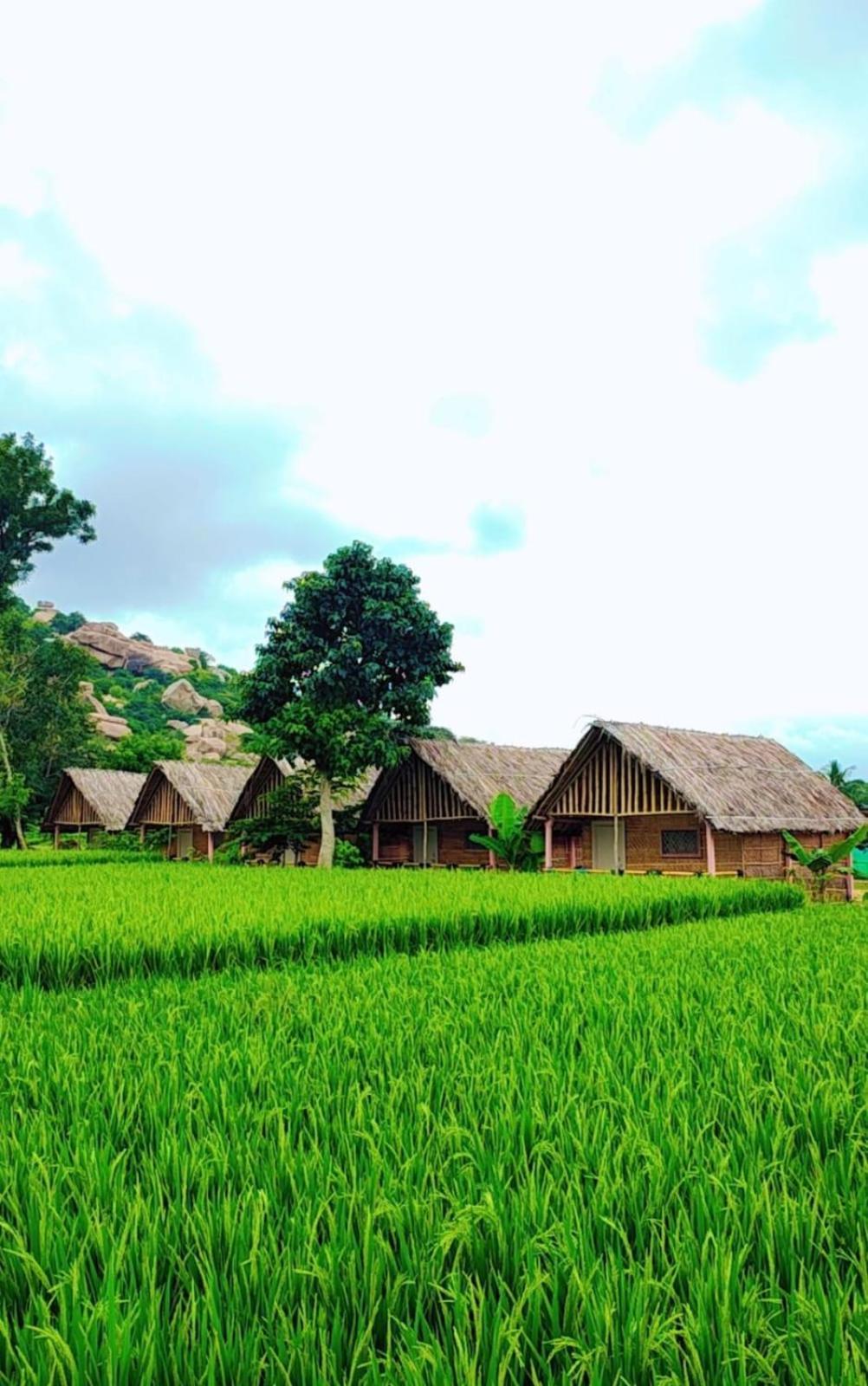 Om Shanti Om Home Stay & Cafe Hampi Buitenkant foto