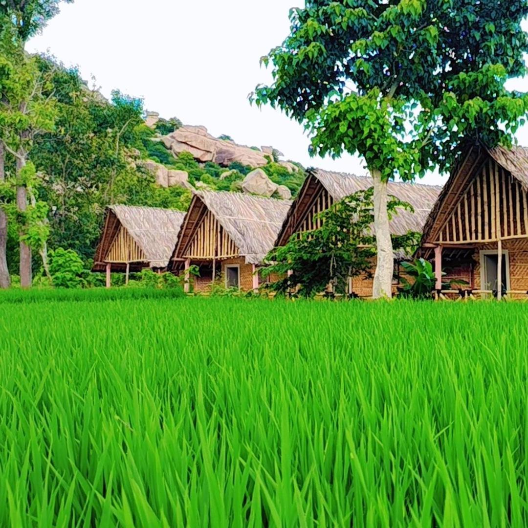 Om Shanti Om Home Stay & Cafe Hampi Buitenkant foto